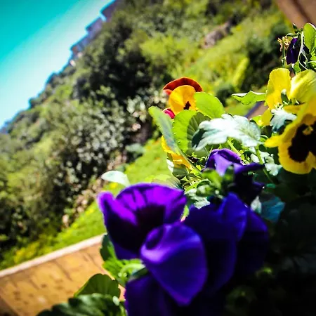 Villa Ta' Gulinu Qala